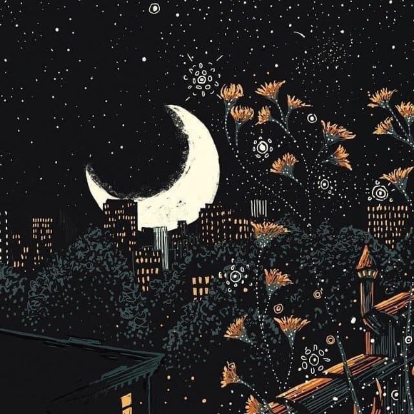 Meet your Posher, Dannyelle - Picture 1 of 1